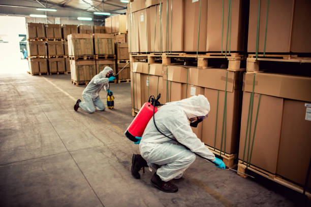 Best Bed Bug Extermination  in Bemidji, MN