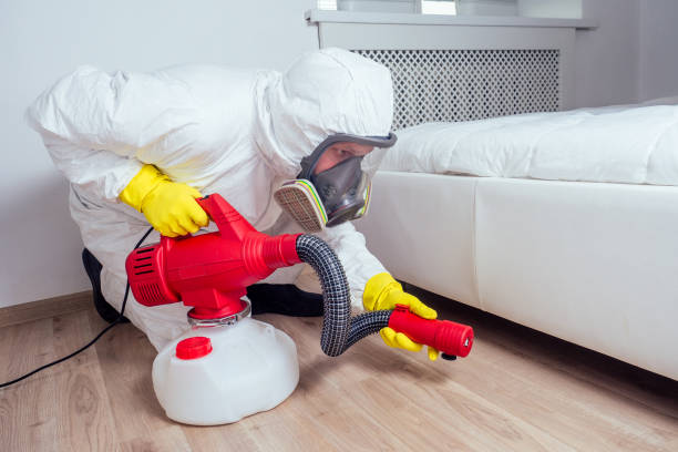 Best Insect Control  in Bemidji, MN