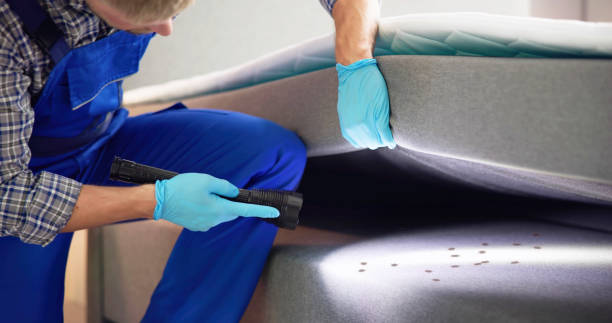Best Exterminator Services  in Bemidji, MN